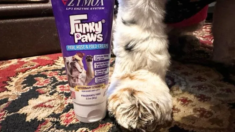 Funky Paws next to dog paw