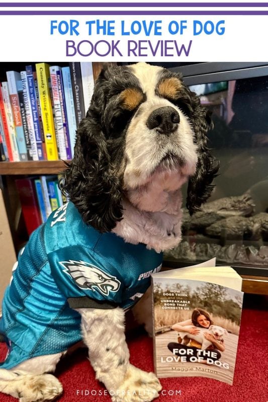 Cocker Spaniel with copy of book