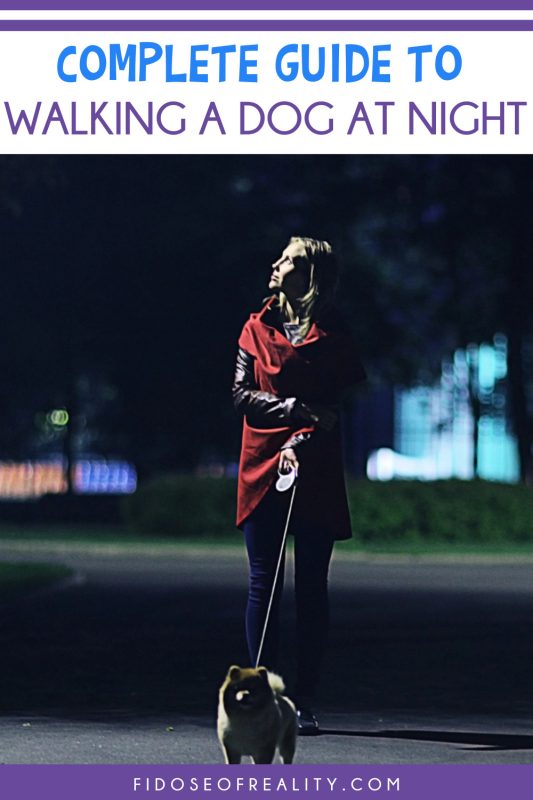 how to safely walk your dog at night