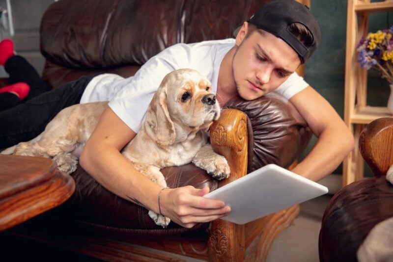 man with Cocker Spaniel as he ponders How is AI In Veterinary Medicine being used