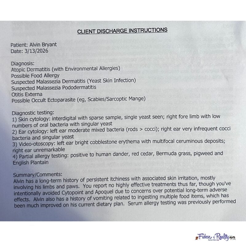 How I stopped my Cocker Spaniel's itching included a dermatology visit with these notes as a result