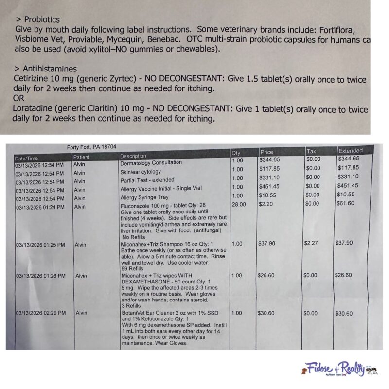 Plans for itchy cocker spaniel from dermatologist