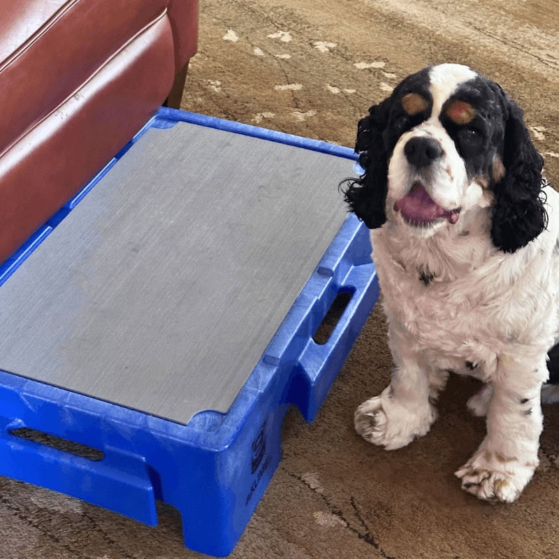 How to stop your dog from following you everywhere with the help of a KLIMB JR