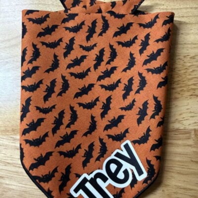 Personalized Halloween dog bandana from Kirby & Co. Bandanas