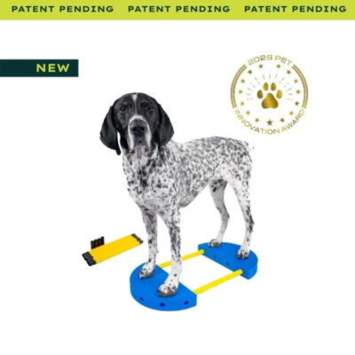 dog on FITPAWS FITKINECT canine fitness system